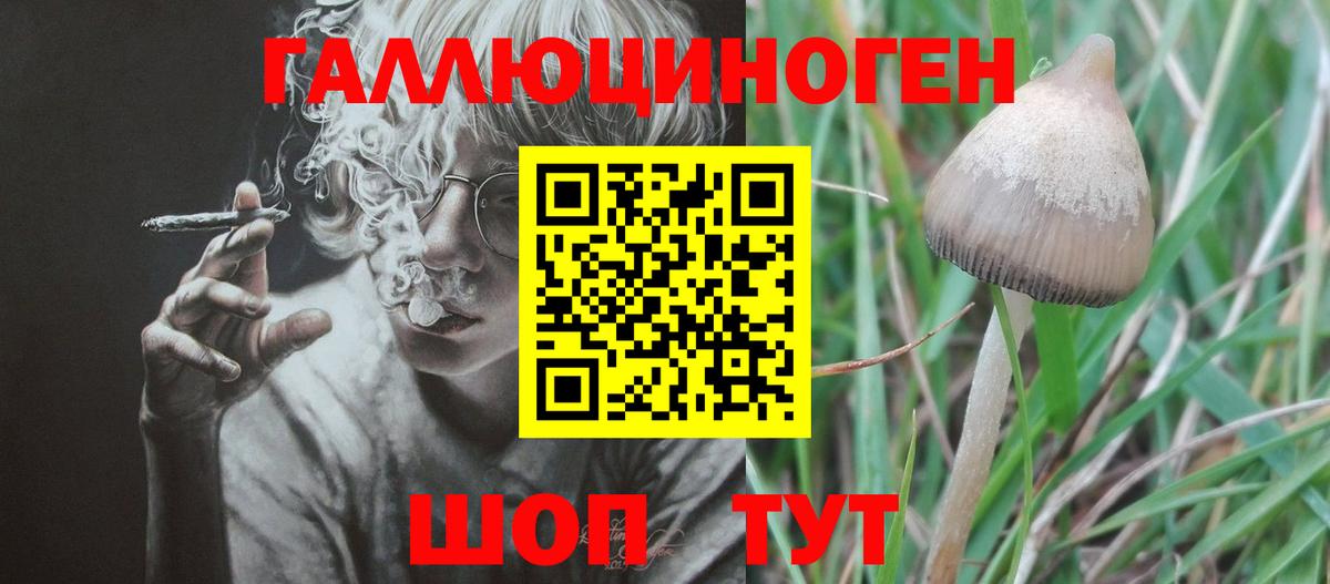 Усть-Илимск  Псилоцибиновые грибы Psilocybine cubensis  Вход с VPN 